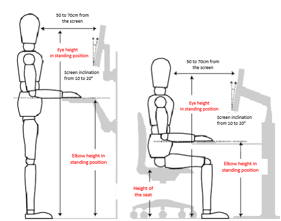 Ergonomic Concepts - Ergopedia.ca, the Ergonomic Encyclopedia